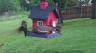 /Birds//Thumbs//found20250420-080433.png 