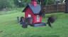 /Birds//Thumbs//found20250420-080511.png 