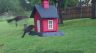 /Birds//Thumbs//found20250420-080527.png 