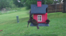/Birds//Thumbs//found20250420-080548.png 