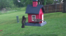 /Birds//Thumbs//found20250420-080842.png 