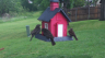 /Birds//Thumbs//found20250420-080858.png 