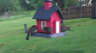 /Birds//Thumbs//found20250420-081919.png 