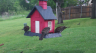 /Birds//Thumbs//found20250420-082047.png 