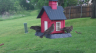 /Birds//Thumbs//found20250420-084205.png 