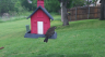 /Birds//Thumbs//found20250420-090321.png 