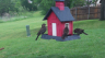 /Birds//Thumbs//found20250420-091749.png 