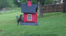 /Birds//Thumbs//found20250420-093652.png 