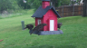 /Birds//Thumbs//found20250420-094958.png 