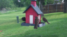 /Birds//Thumbs//found20250420-095015.png 