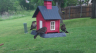 /Birds//Thumbs//found20250420-095058.png 