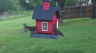 /Birds//Thumbs//found20250420-095357.png 