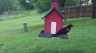 /Birds//Thumbs//found20250420-100628.png 