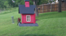 /Birds//Thumbs//found20250425-165941.png 