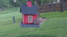 /Birds//Thumbs//found20250426-070122.png 