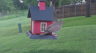 /Birds//Thumbs//found20250426-070343.png 