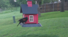 /Birds//Thumbs//found20250426-071522.png 