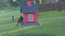 /Birds//Thumbs//found20250426-075519.png 