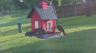 /Birds//Thumbs//found20250426-081105.png 