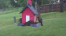 /Birds//Thumbs//found20250427-065619.png 