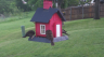 /Birds//Thumbs//found20250427-065627.png 