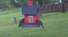 /Birds//Thumbs//found20250427-065735.png 