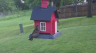 /Birds//Thumbs//found20250427-070856.png 