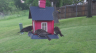 /Birds//Thumbs//found20250427-071007.png 
