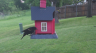 /Birds//Thumbs//found20250427-071310.png 