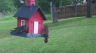 /Birds//Thumbs//found20250427-100155.png 