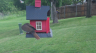 /Birds//Thumbs//found20250427-102106.png 