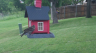/Birds//Thumbs//found20250427-113524.png 