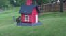 /Birds//Thumbs//found20250427-121757.png 