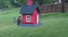 /Birds//Thumbs//found20250427-121805.png 