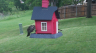 /Birds//Thumbs//found20250427-121845.png 