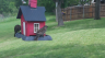 /Birds//Thumbs//found20250427-130639.png 