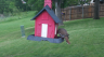 /Birds//Thumbs//found20250427-135844.png 