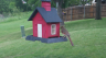 /Birds//Thumbs//found20250427-141810.png 