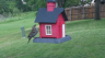 /Birds//Thumbs//found20250427-151716.png 