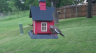/Birds//Thumbs//found20250427-173823.png 