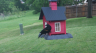/Birds//Thumbs//found20250427-182106.png 