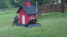 /Birds//Thumbs//found20250427-182128.png 
