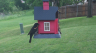 /Birds//Thumbs//found20250428-075505.png 
