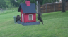 /Birds//Thumbs//found20250428-085942.png 