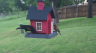 /Birds//Thumbs//found20250428-172037.png 