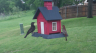 /Birds//Thumbs//found20250428-173105.png 