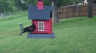 /Birds//Thumbs//found20250428-174942.png 