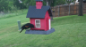 /Birds//Thumbs//found20250428-175020.png 