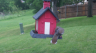 /Birds//Thumbs//found20250429-073848.png 
