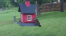 /Birds//Thumbs//found20250429-074443.png 